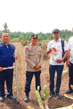 berita-rekomendasi-foto